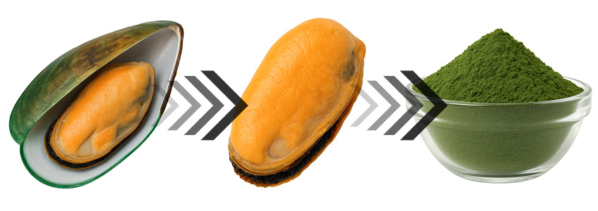 Hlavní účinnou složkou je mrazem sušená zelená mušle (tělo bez skořápek).