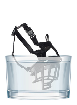 Ochlazení náhubku Baskerville ve studené vodě