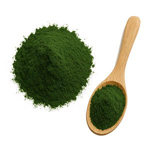 Chlorella