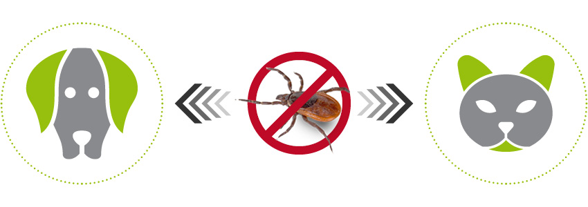 Harmonizace kožní mikroflóry + péče (2 v 1) snižuje zájem parazitů.