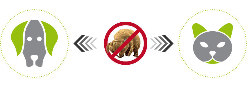 Doplnění minerálních mikroživin + očistná péče vede k odeznění svědivosti.