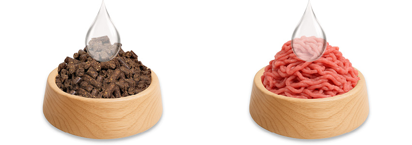 Podáváme vmíchané do krmiva, do mletého masa nebo do misky vedle krmiva.