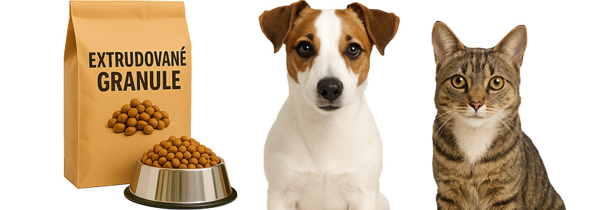 Parazité napadají častěji jedince s oslabenou imunitou. Příčinou je nezdravá výživa.