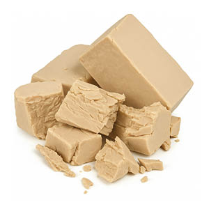 Čistič střev v prášku - cdVet Váha: 69 g - 100 kapslí Pivovarské kvasnice