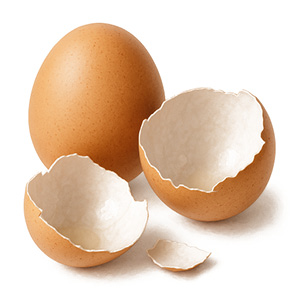 	Vaječné skořápky			