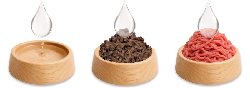 Podáváme vmíchané misky s vodou, do krmiva, nebo do mletého masa.